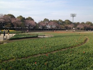 IMG_5709