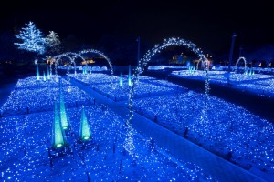 光の雲海 (2)